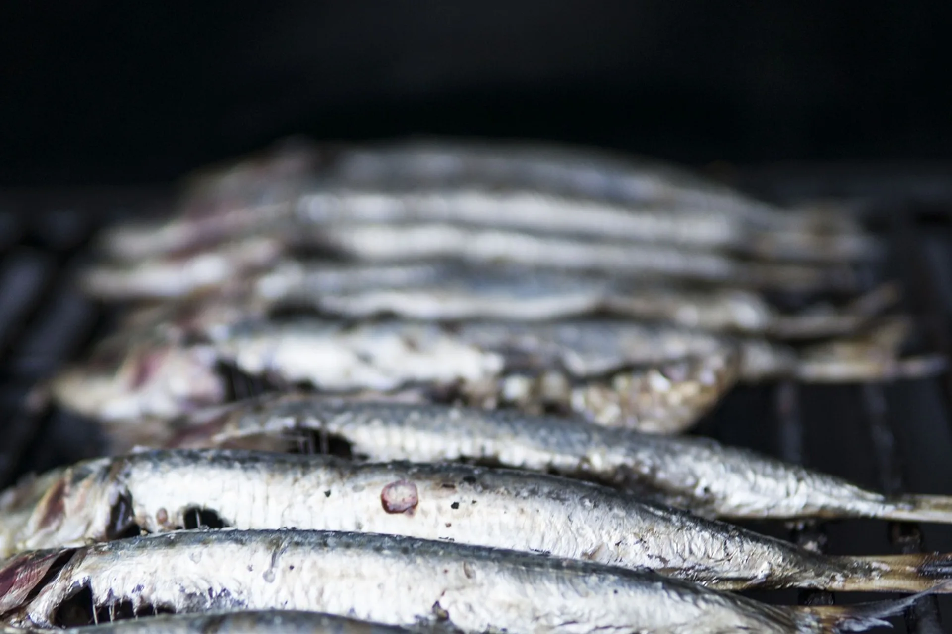 Venez Vous Serrer La F Te Du Printemps De La Sardine De Saint Gilles